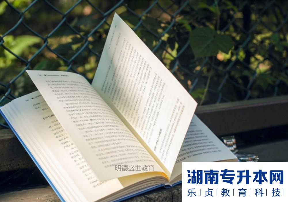 2021年吉首大学考试大纲 -《中国文学史》